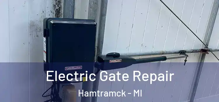 Electric Gate Repair Hamtramck - MI