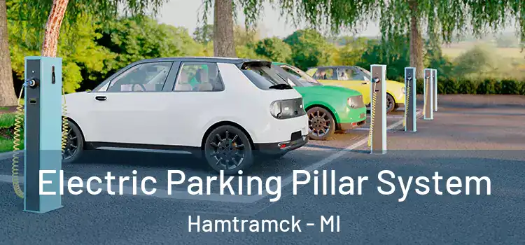 Electric Parking Pillar System Hamtramck - MI