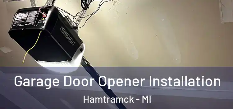  Garage Door Opener Installation Hamtramck - MI