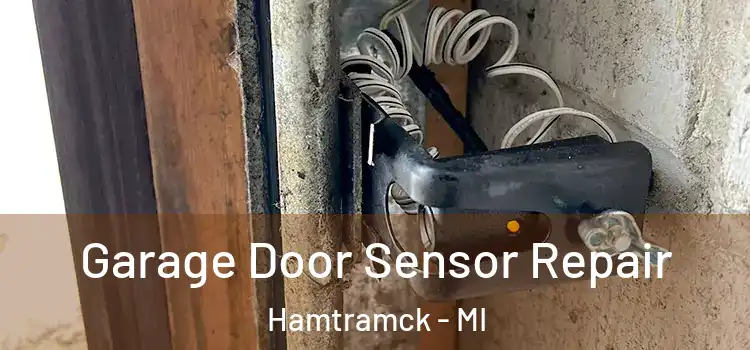 Garage Door Sensor Repair Hamtramck - MI