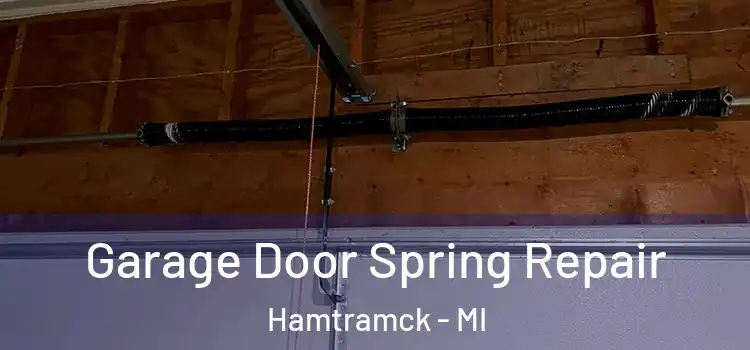  Garage Door Spring Repair Hamtramck - MI