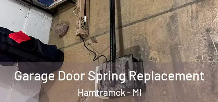  Garage Door Spring Replacement Hamtramck - MI