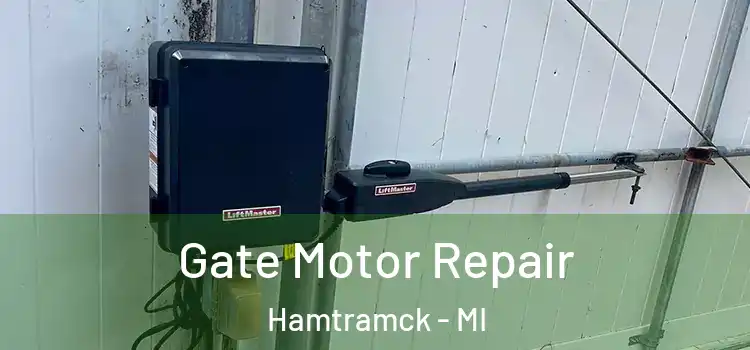Gate Motor Repair Hamtramck - MI
