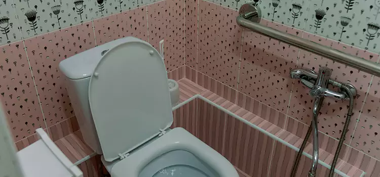 Meeting Diverse Needs With Accessible Restroom Solutions in Hamtramck, MI