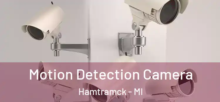  Motion Detection Camera Hamtramck - MI