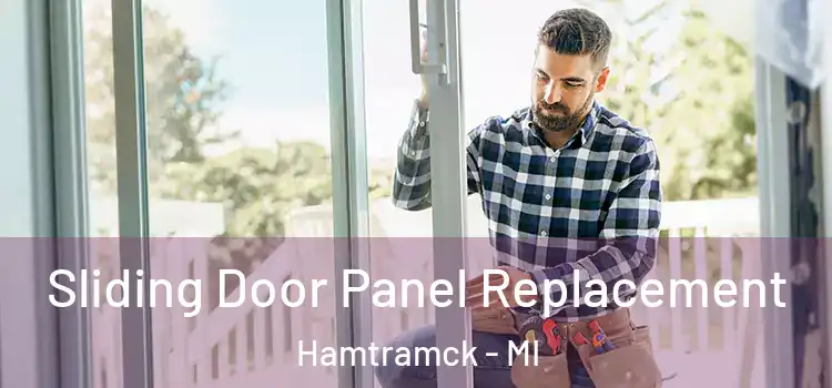  Sliding Door Panel Replacement Hamtramck - MI
