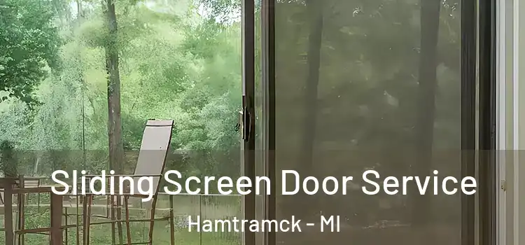 Sliding Screen Door Service Hamtramck - MI